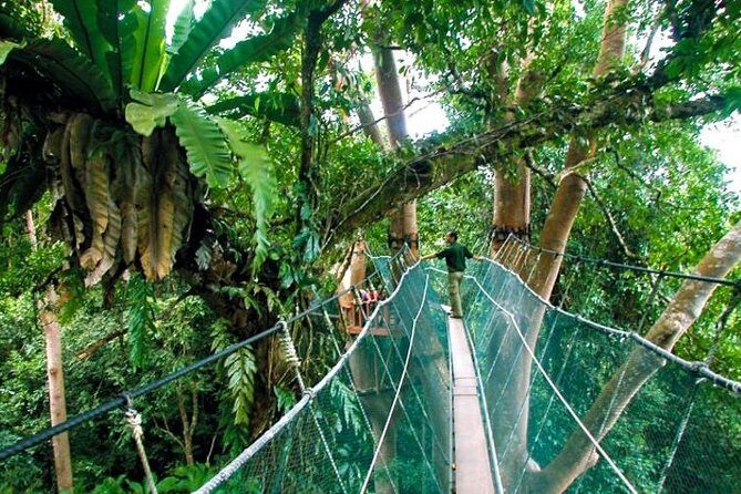 Sabah Highlights Adventure 7D/6N - Good To Know