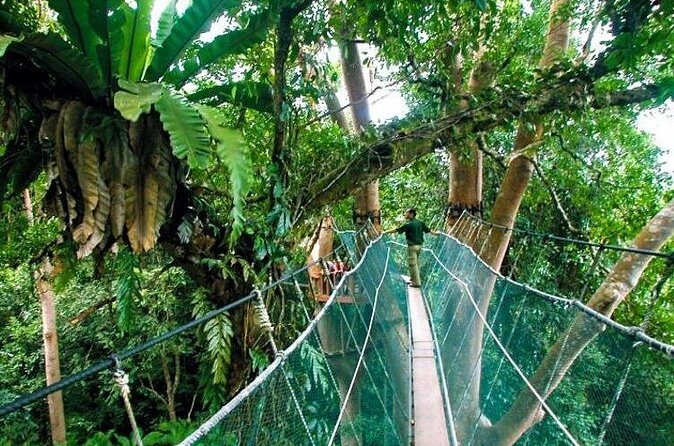 Sabah Highlights Adventure 7D/6N - Insights from Reviews and Real Travelers