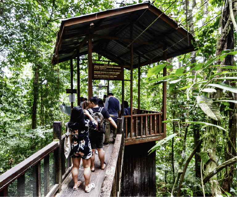 Sabah: Kinabalu Park, Hot Springs, and Cow Farm Day Tour - Authentic Experiences & Tips from Reviewers