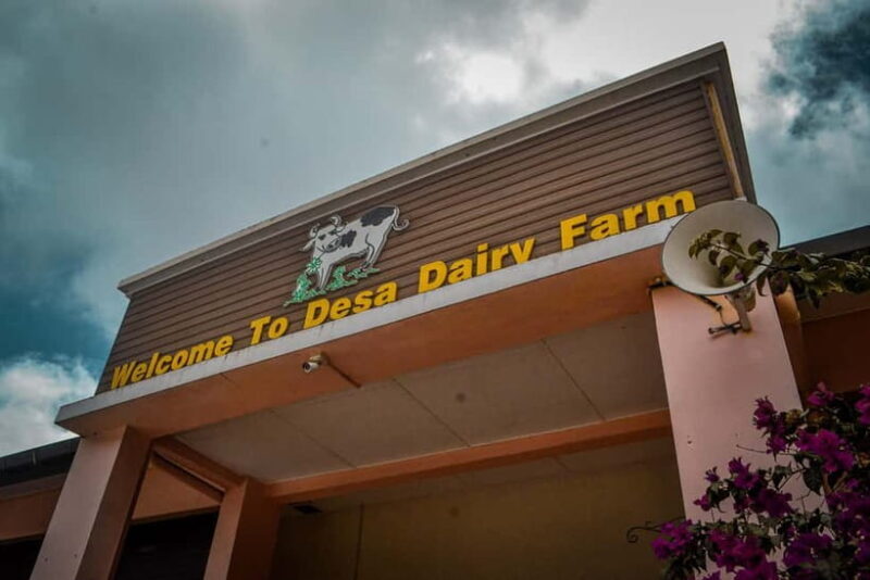 Sabah: Kinabalu Park, Poring Hot Springs & Desa Farm Tour - Final Thoughts: Is This Tour Right for You?
