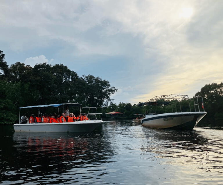Sabah: Klias River Cruise Day Tour Ticket - Insights from Reviews & Experience Tips