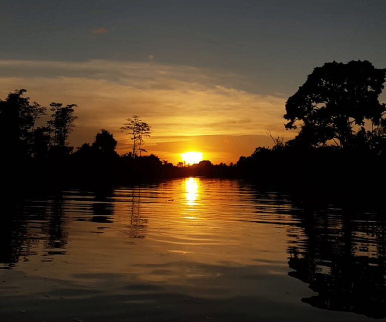 Sabah: Klias River Cruise Day Tour Ticket - How This Tour Offers Value