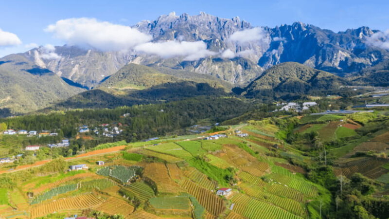 Sabah: Kundasang Nature Day Tour - Good To Know
