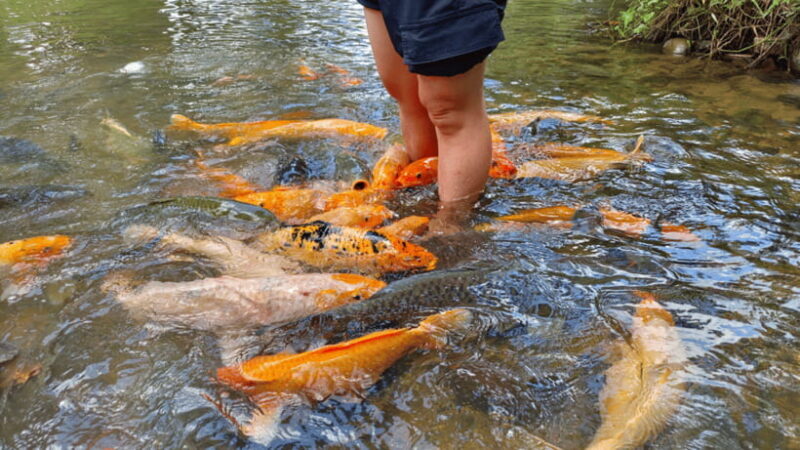 Sabah: Kundasang Nature Day Tour - Who Would Love This Tour?