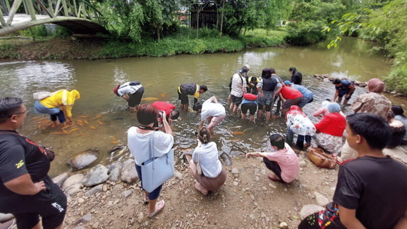 Sabah: Kundasang Nature Day Tour - The Sum Up