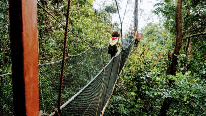 Sabah: Kundasang Nature Day Tour - FAQs