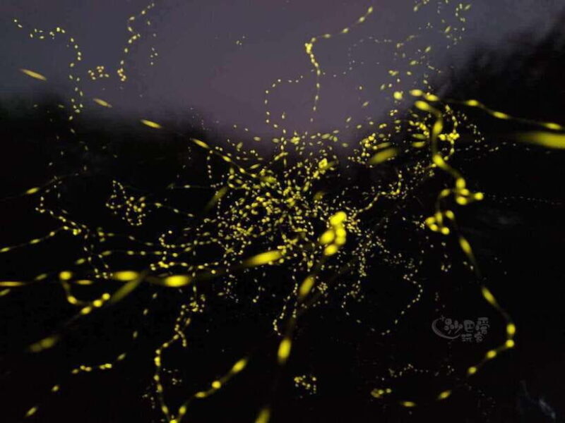 Sabah: Mangrove Fireflies, and Sky Mirror Dream Beach Tour - Final Thoughts