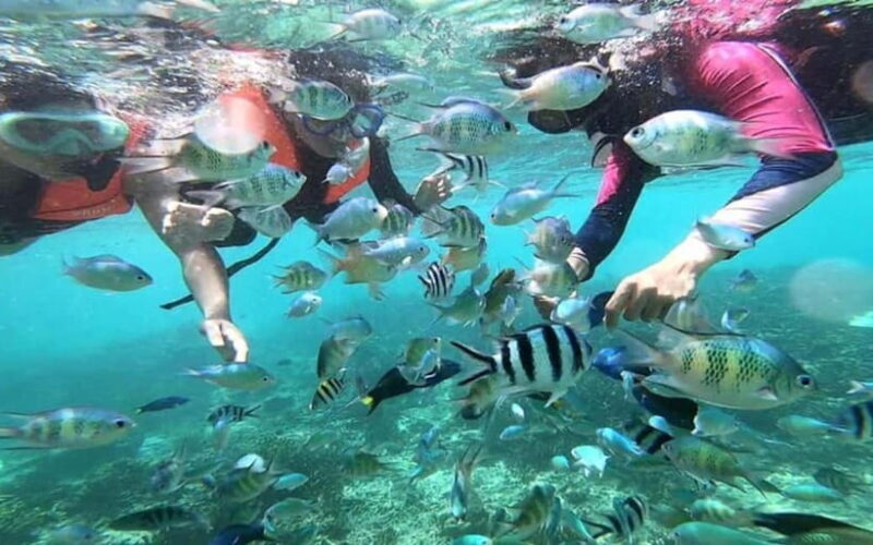 Sabah: Mantanani Island Day Tour with Lunch - Lunch and Comfort