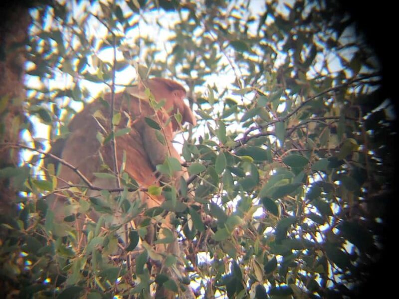 Sabah: Mari Mari Cultural Village + Weston Rivercruise - Practical Insights