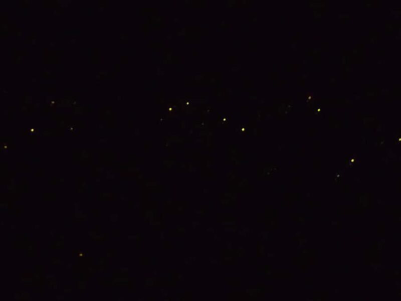 Sabah: Mari Mari Cultural Village + Weston Rivercruise - Frequently Asked Questions