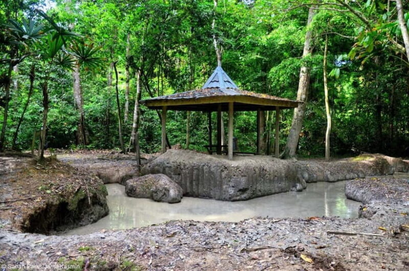 Sabah: Pulau Tiga Snorkeling Day Trip with Lunch - The Sum Up