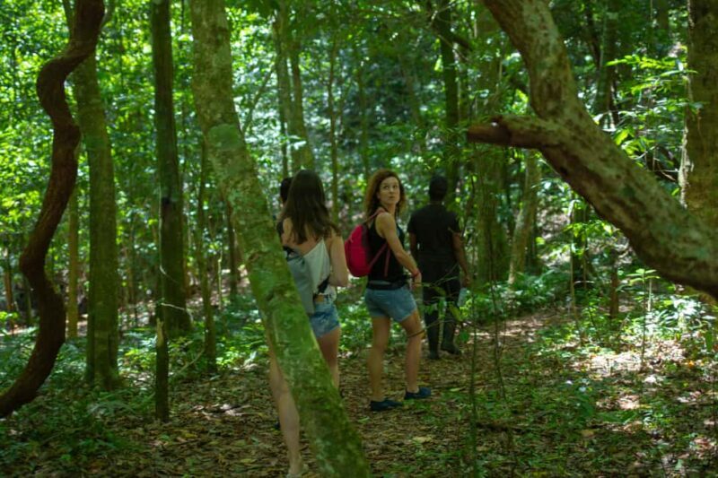 Sabana de la Mar: Los Haitises Guided Hike and Kayaking - What We Love About This Tour