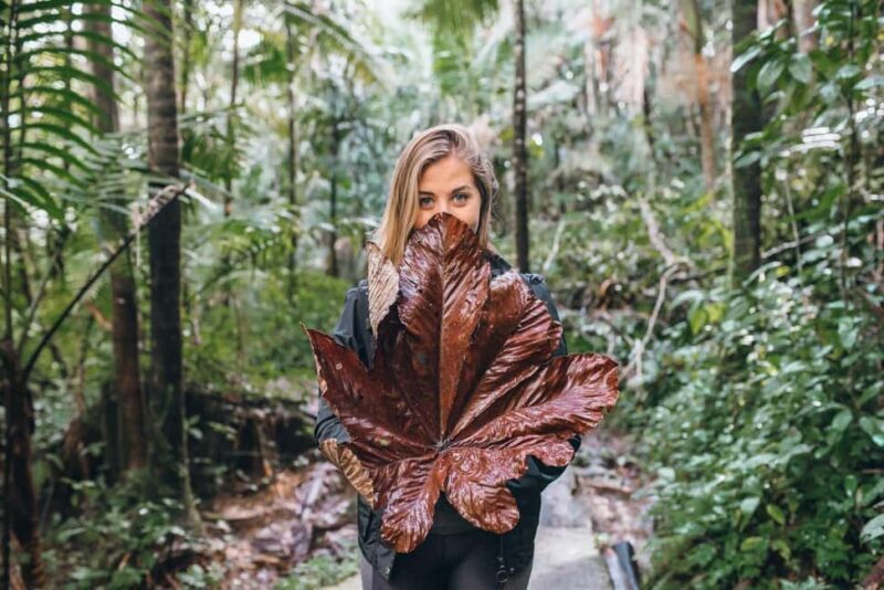 Sabana de la mar: Salto Limon, Cayo Levantado with lunch - The Adventure: Horseback Ride to El Limon Waterfall