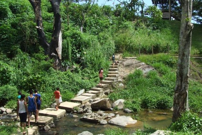 Sabeto Waterfall Tour (Nadi) - Tour Inclusions