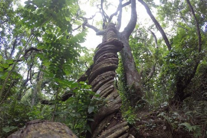 Sabeto Waterfall Tour (Nadi) - Contact and Customer Support