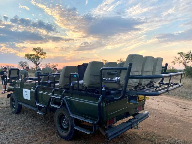 Sabie Game Reserve: Sunset Safari with Sundowners - Exploring the Experience: In-Depth Look at What You Can Expect