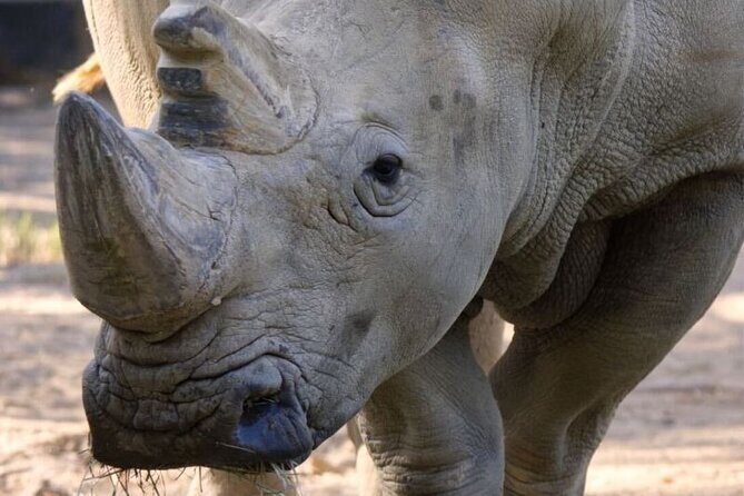 Sacramento Zoo General Admission Ticket - A Closer Look at the Sacramento Zoo Experience