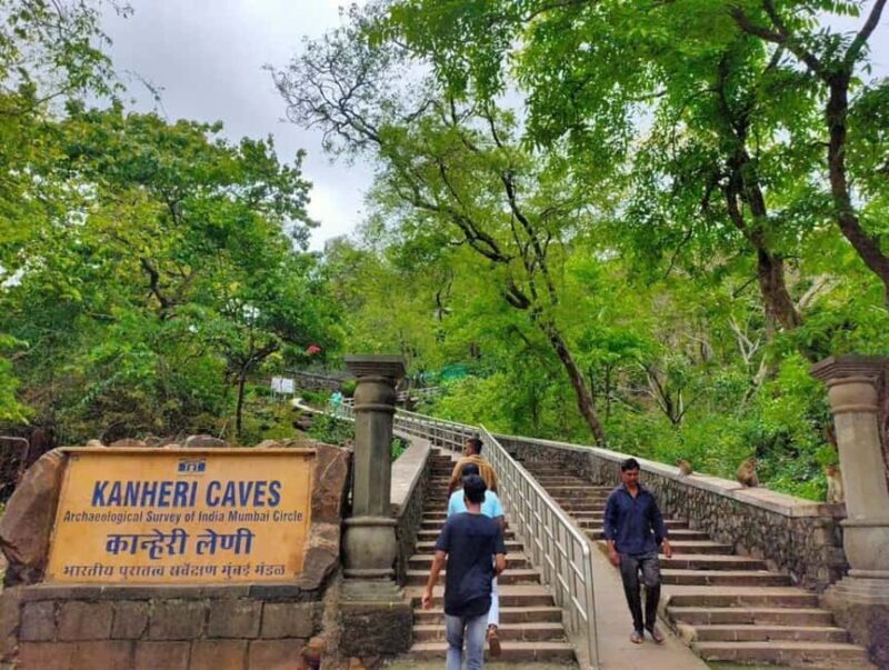 Sacred Caves & Green Escape: Kanheri Buddhist Caves & SGNP - Exploring Sanjay Gandhi National Park