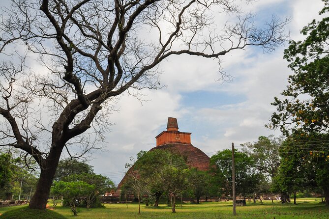 Sacred City of Anuradhapura From Sigiriya - Inclusions