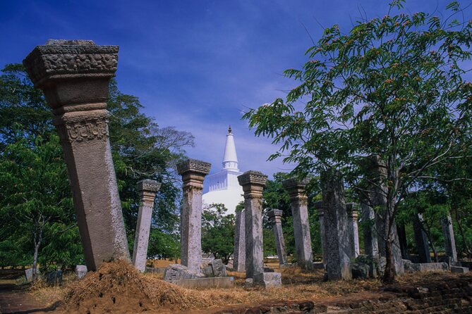 Sacred City of Anuradhapura From Sigiriya - Reviews and Ratings