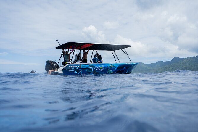 Sacred Experience Swimming with a Whale in Moorea - Knowledgeable and Passionate Guides