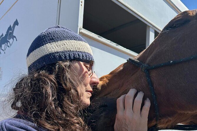 Sacred Horse Medicine Journey near Sedona - The Benefits of Intuitive Horse Guidance