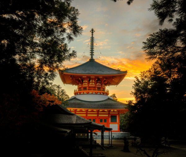 Sacred Koyasan: Meditation in Sanctuary to Purification - Customer Experiences