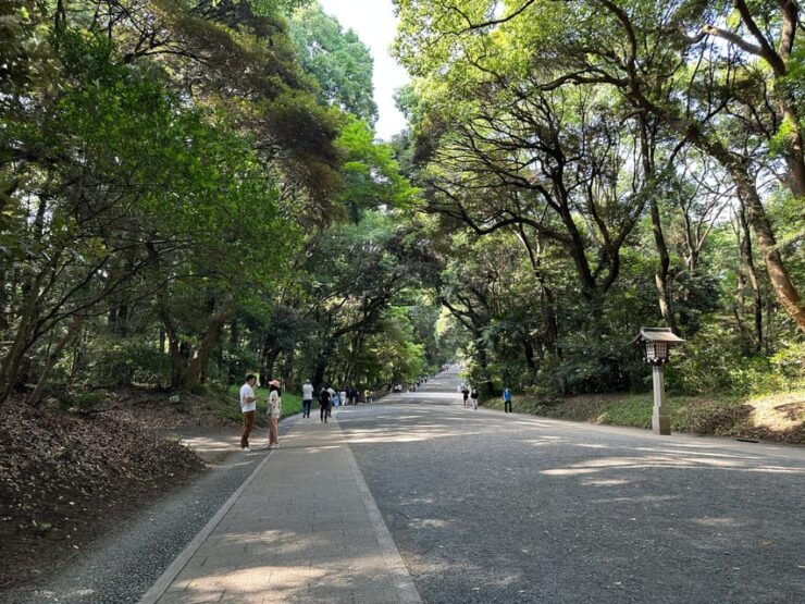 Sacred Morning Walk & Brunch-Meiji Shrine - Itinerary Details
