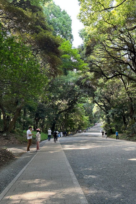 Sacred Morning Walk & Brunch-Meiji Shrine - Inclusions