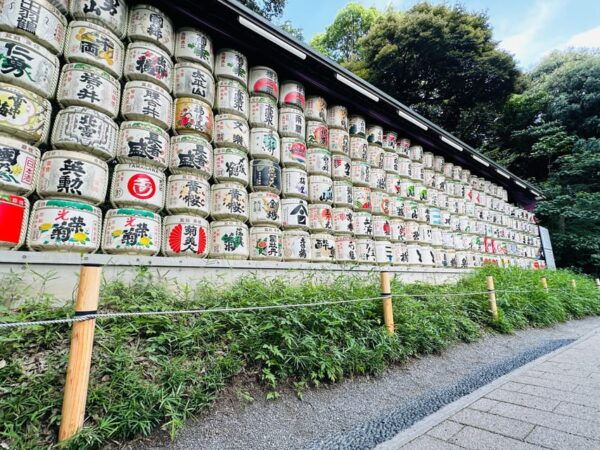 Sacred Morning Walk & Brunch-Meiji Shrine - What to Bring