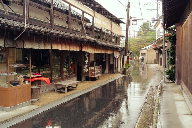 Sacred Mount Yoshino Guided Tour  UNESCO Kii Mountain Range - The Sum Up: Who Should Consider This Tour?