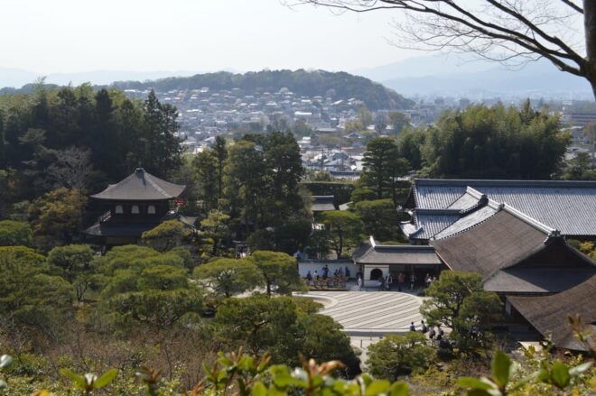 Sacred Pathways: Discover the Philosophers Path of Kyoto - Customer Experience and Feedback