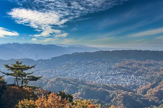 Sacred Peak and Scenic View Hieizan Enryaku ji and Hiyoshi Shrine - Who Should Consider This Tour?
