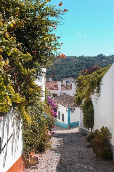 Sacred Sanctuaries & Wonders: Fátima, Nazaré & Óbidos - Additional Recommendations
