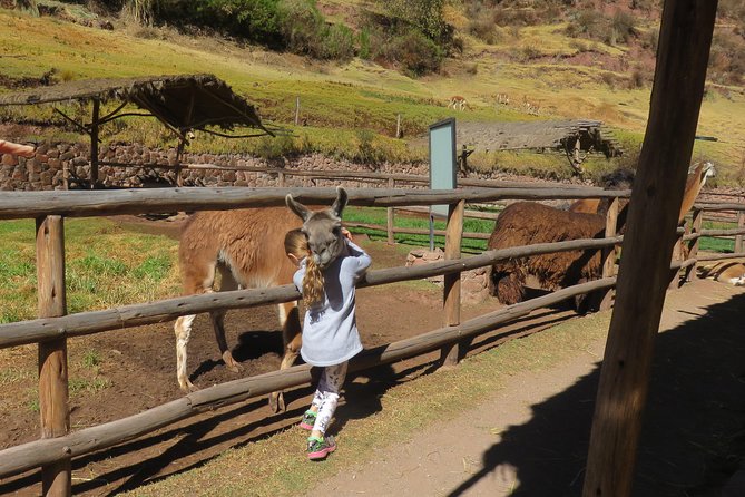 Sacred Valley & Machu Picchu 2 Day Tour From Cusco 2022 - Tour Highlights