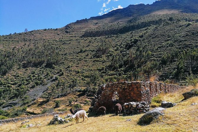Sacred Valley of Incas (Day Trip) - Overview of Sacred Valley Day Trip