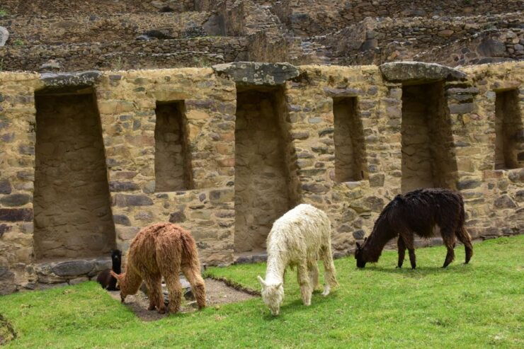 Sacred Valley Peru Tours Full Day - Experience