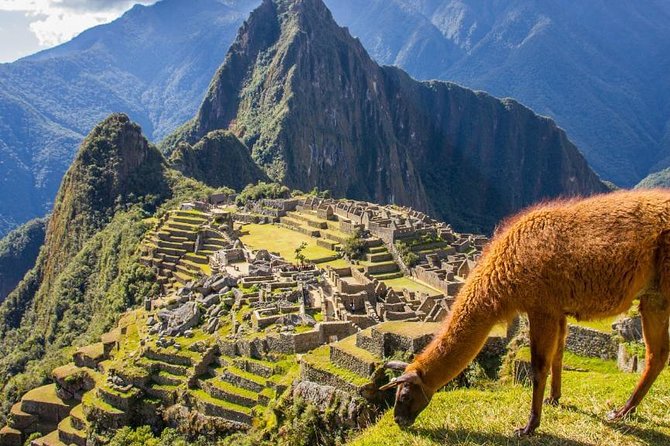 Sacred Valley to Machu Picchu Connection (2 Days) - Traveler Reviews