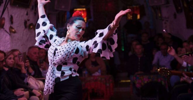 Sacromonte: Flamenco Show at Cuevas Los Tarantos Tickets - Inclusions With the Ticket