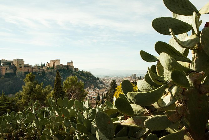 Sacromonte Granada Private Tour - Traveler Photos and Reviews