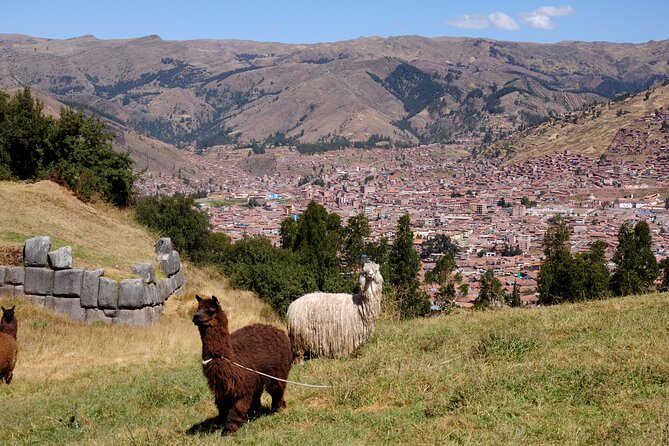 Sacsayhuaman Incas Temple, Tambomachay, Puca Pucara & Qenqo Half-Day Tour - Meeting and Pickup Details