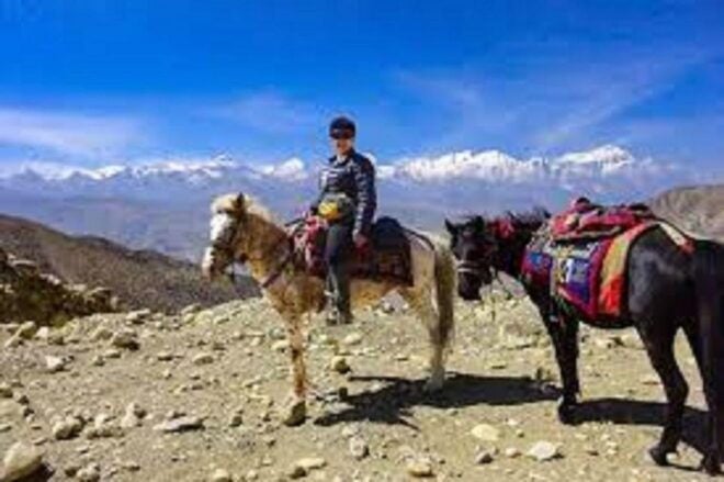 Saddle Up for a 1-Hour Horseback Riding Adventure in Pokhara - Itinerary & Highlights