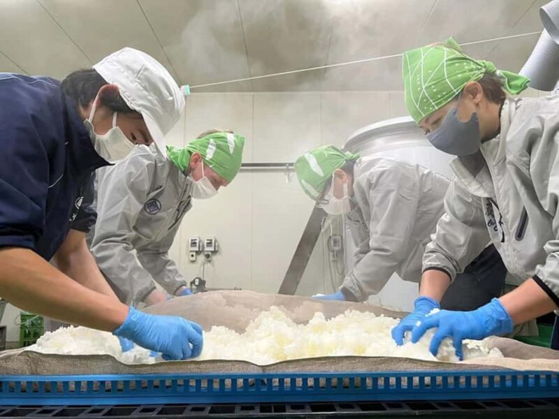 Sado Island: Obata Sake Brewery Tour and Tasting - Why Choose the Obata Sake Brewery Tour?