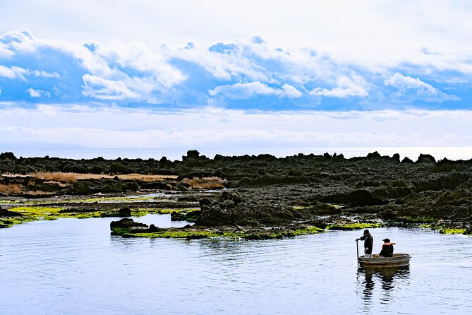 Sado Island Tour With Licensed Guide and Vehicle (Niigata Dep.) - Common Questions