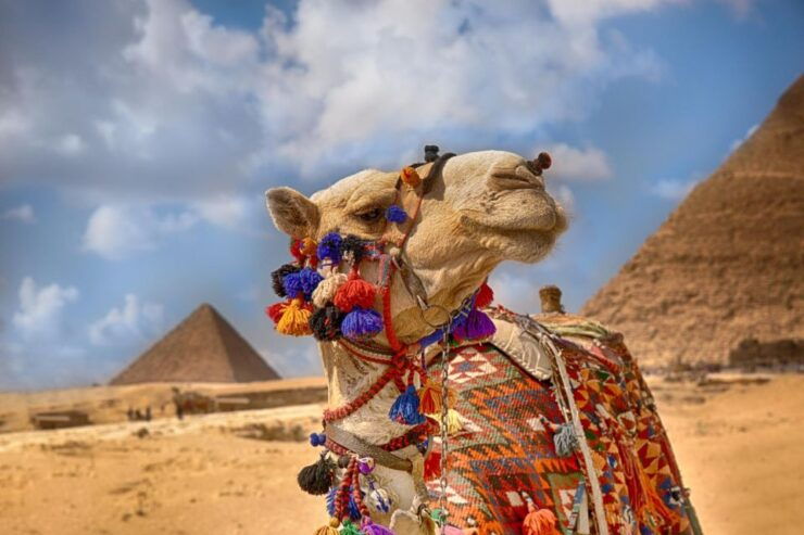 Safaga/Soma: Private Cairo and Giza Highlights Trip W Lunch - Tour Duration and Availability