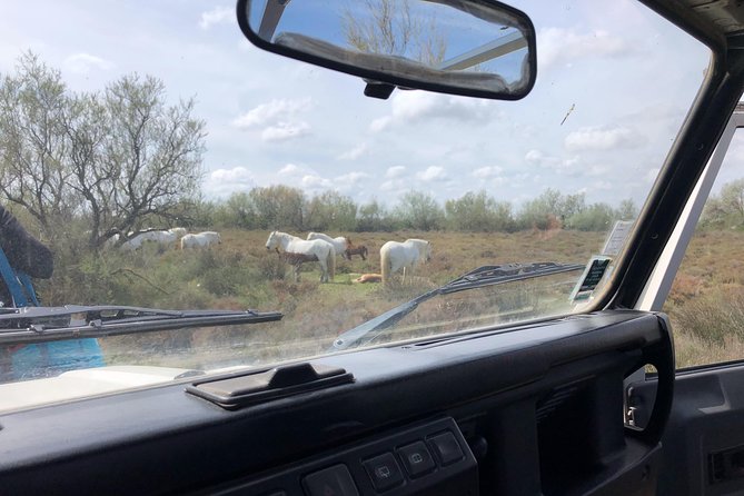 Safari 4x4 Camargue 2 Heures - Saintes Maries De La Mer - Visite Privée - Common Questions