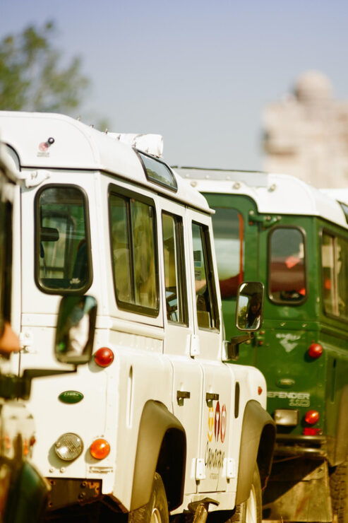 Safari 4x4 in Camargue / 3h30 / Grau Du Roi - Experience Highlights