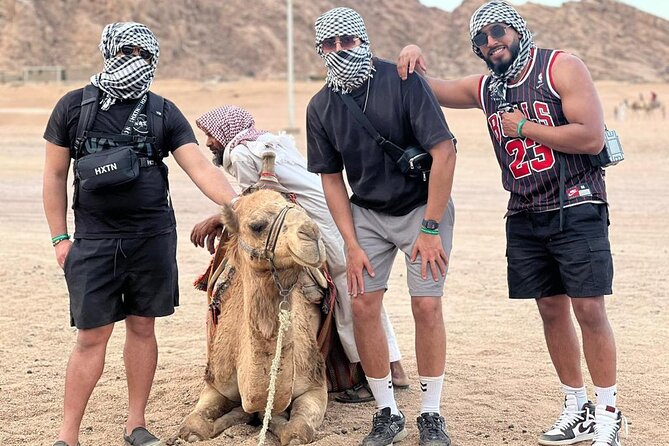 Safari 5 in 1 Quads, Camels, Show, Dinner & Star Gazing in Sharm El Sheikh - Pricing and Booking Options