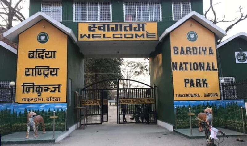 Safari Adventure in Bardia 3D/2N - In-Depth Look at the Tour Experience