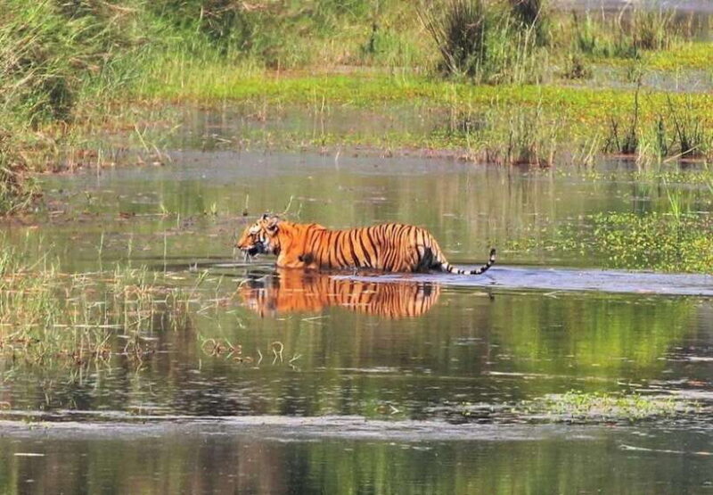 Safari Adventure in Bardia 3D/2N - FAQs